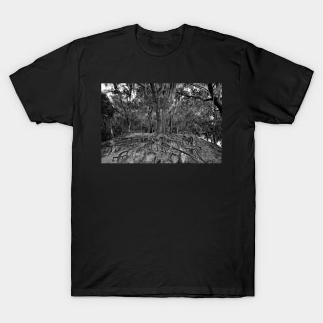 Roots of Life T-Shirt by dltphoto